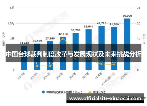 中国台球裁判制度改革与发展现状及未来挑战分析