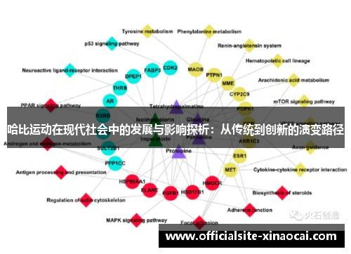 哈比运动在现代社会中的发展与影响探析：从传统到创新的演变路径